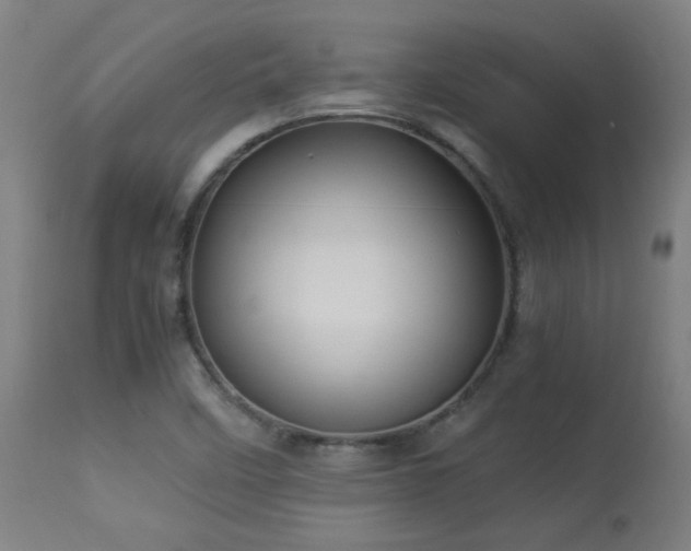 X0000113291458200909211052