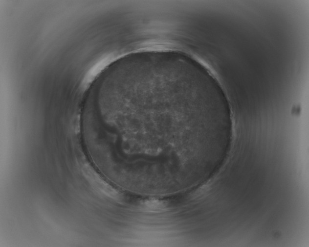 X0000113291459200909211052