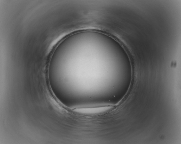 X0000113291460200909211052