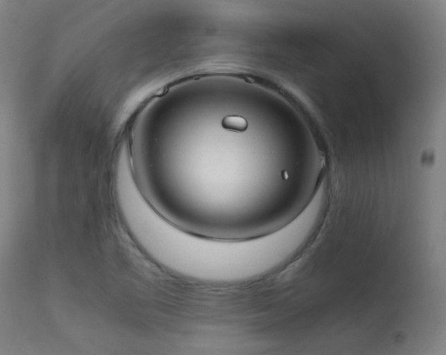 X0000113291461200909211052