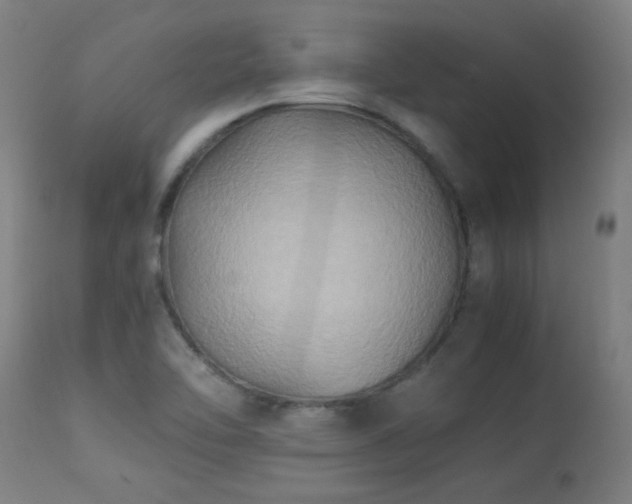 X0000113291462200909211052