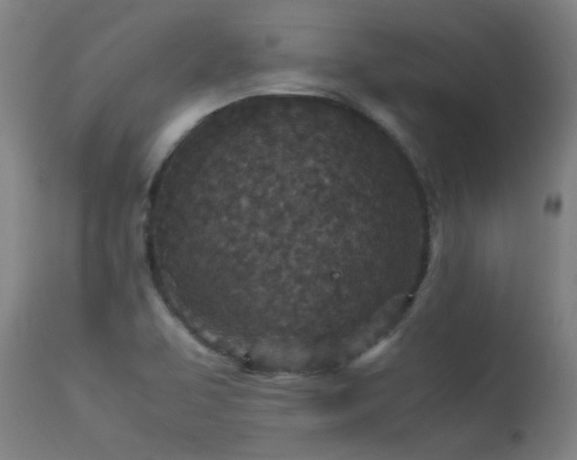 X0000113291463200909211052