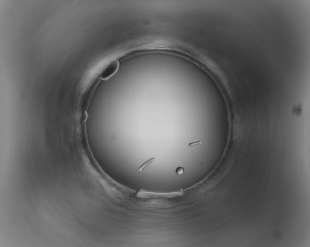 X0000113291464200909211052