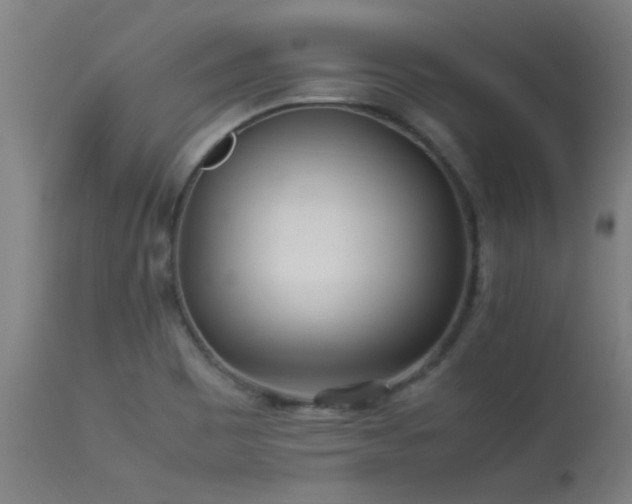 X0000113291465200909211052