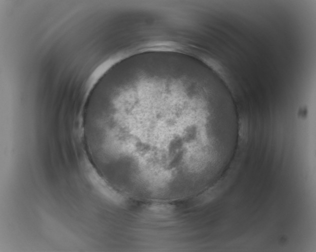 X0000113291466200909211052