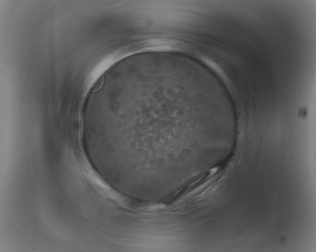 X0000113291467200909211052