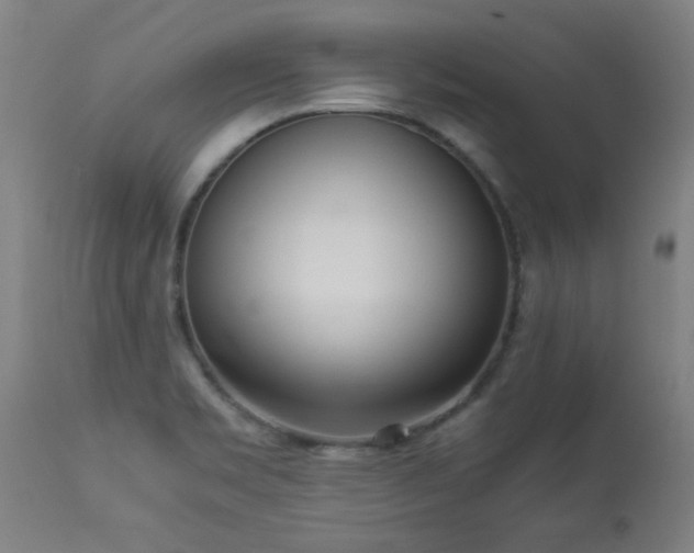 X0000113291469200909211052