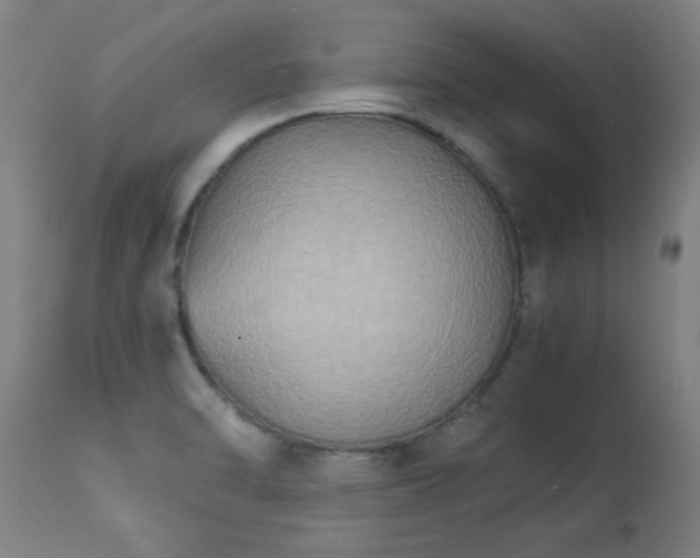 X0000113291470200909211052