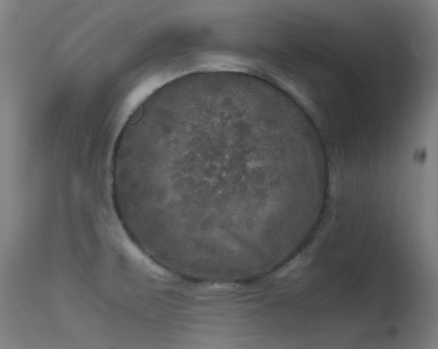 X0000113291471200909211051