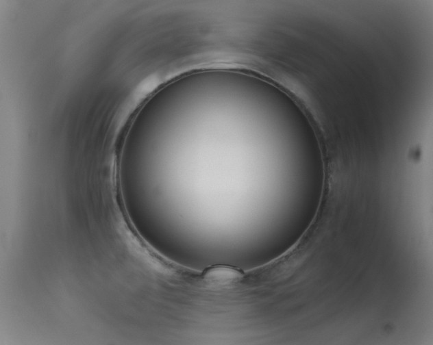 X0000113291472200909211051