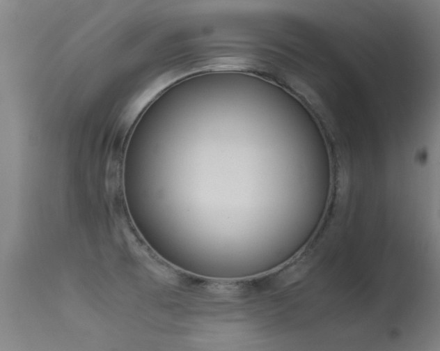 X0000113291473200909211051