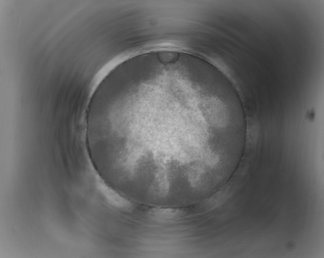 X0000113291474200909211051