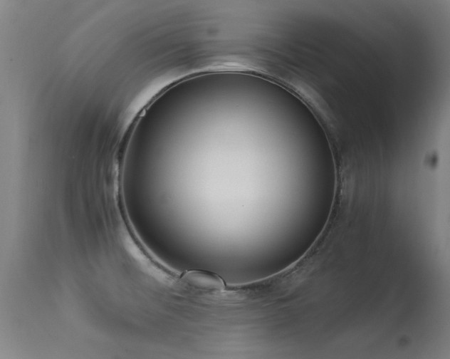 X0000113291476200909211051