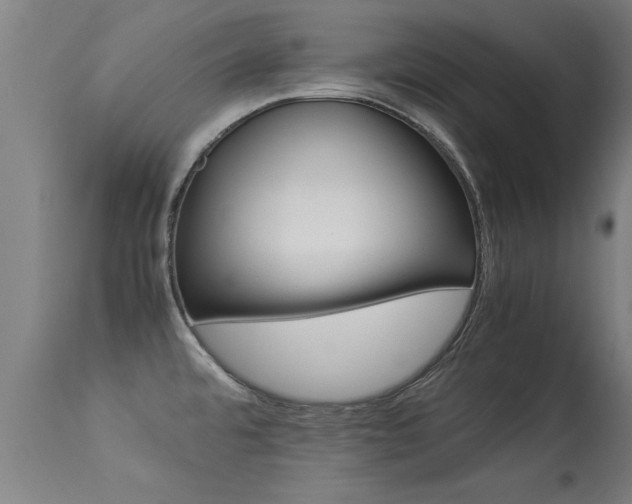 X0000113291480200909211051