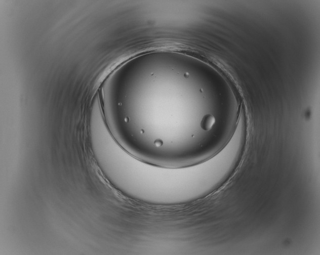 X0000113291481200909211051