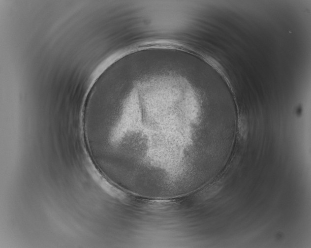 X0000113291482200909211051