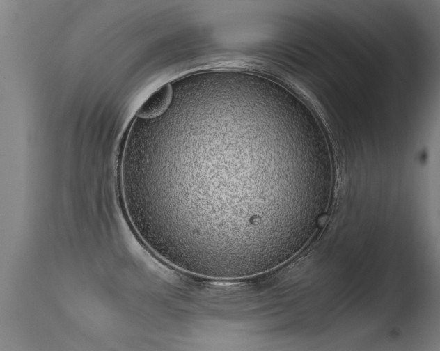 X0000113291483200909211051