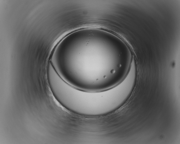 X0000113291484200909211051