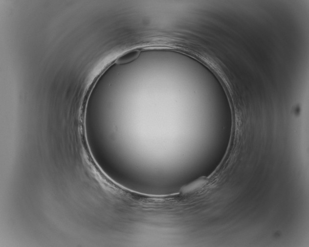 X0000113291485200909211051