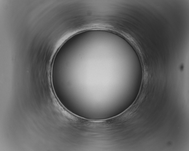 X0000113291486200909211051