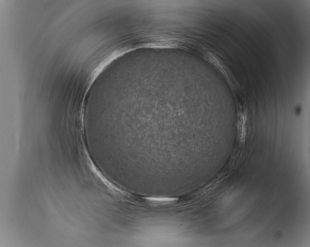 X0000113291487200909211051