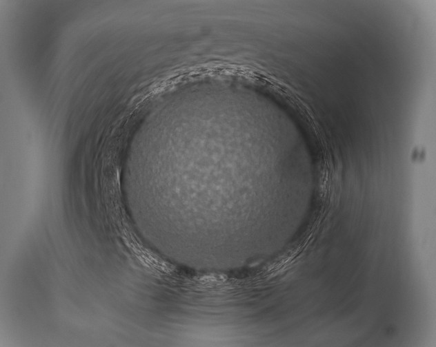 X0000113291489200909211051