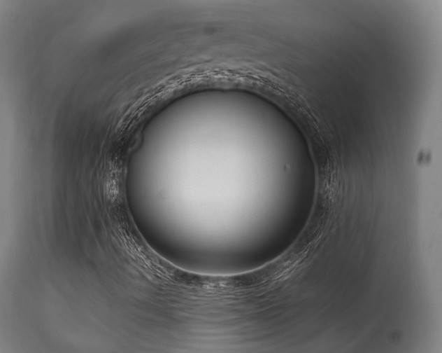 X0000113291490200909211051