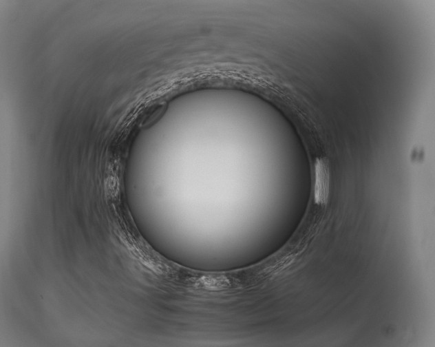 X0000113291491200909211051