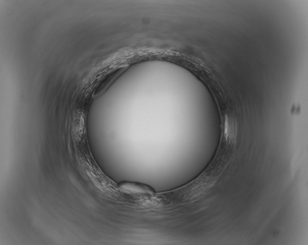 X0000113291492200909211051