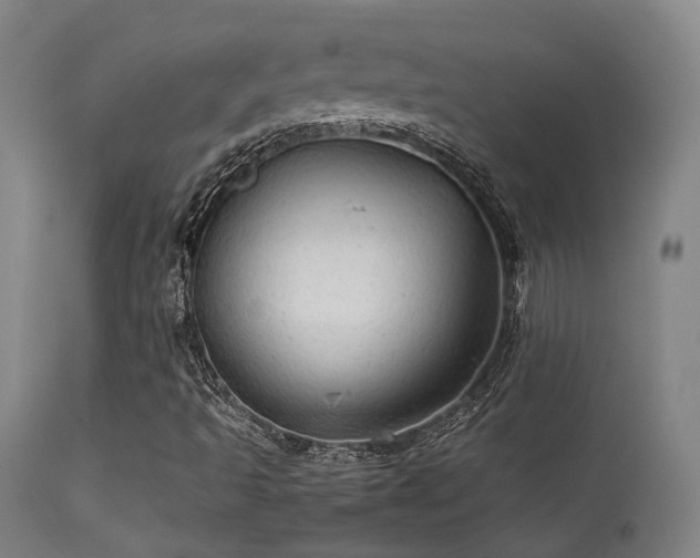 X0000113291493200909211051