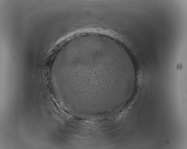 X0000113291494200909211051