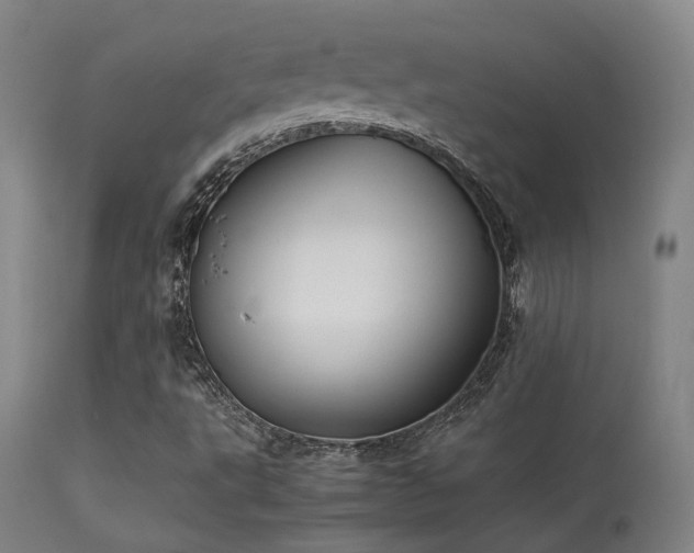 X0000113291495200909211051