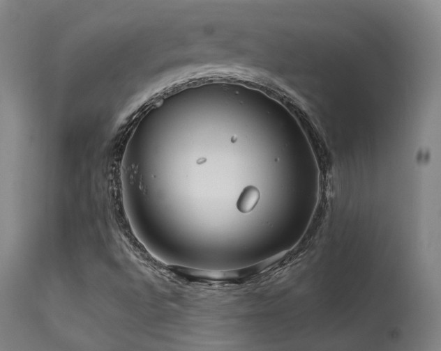 X0000113291496200909211051