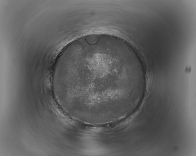 X0000113291497200909211051