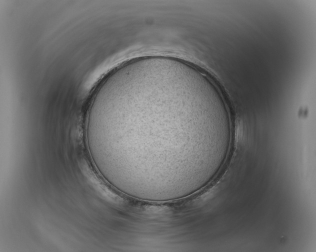 X0000113291498200909211051