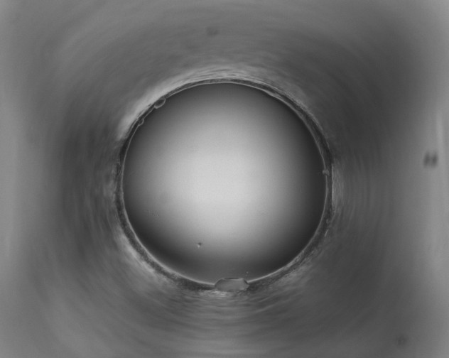 X0000113291500200909211051