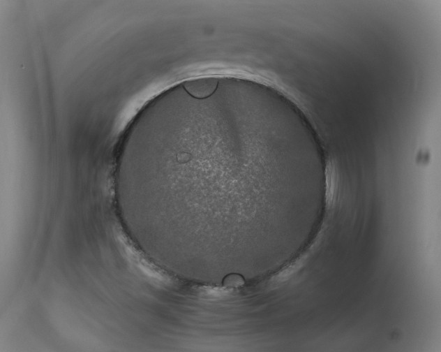 X0000113291501200909211051