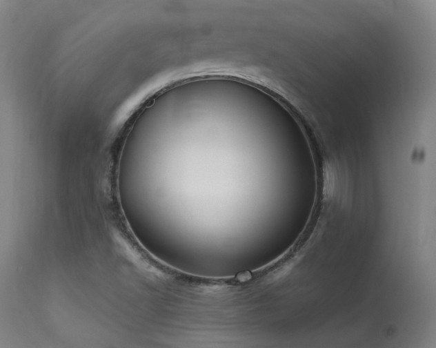 X0000113291502200909211051