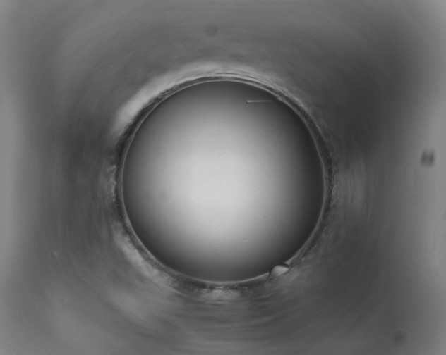 X0000113291503200909211051