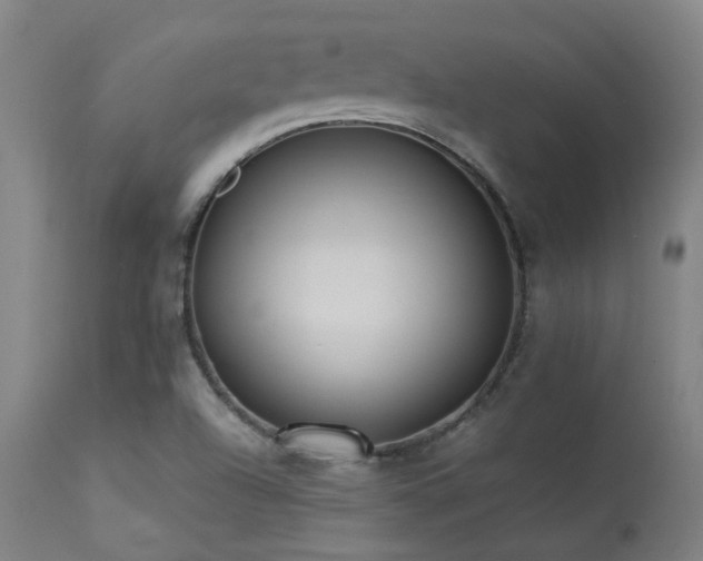 X0000113291504200909211051