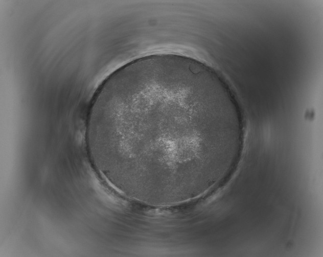 X0000113291505200909211051