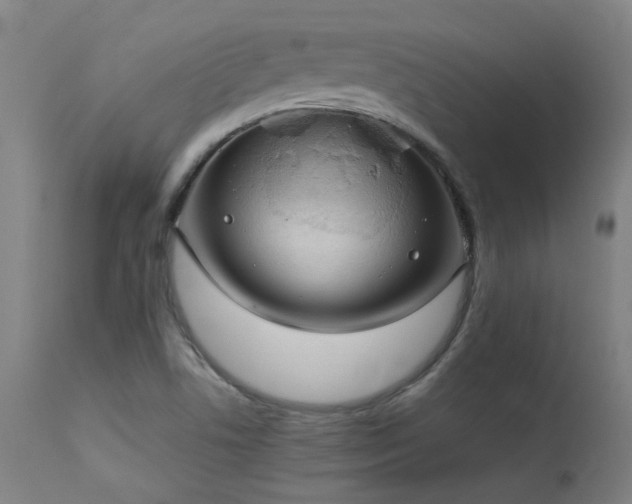 X0000113291506200909211051