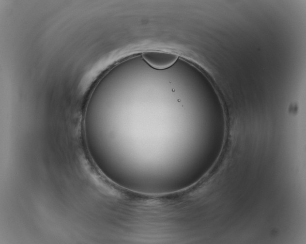 X0000113291507200909211051