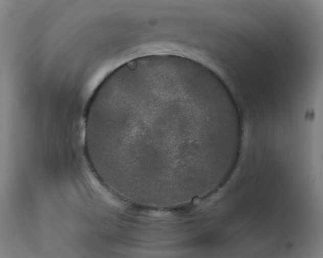 X0000113291509200909211051