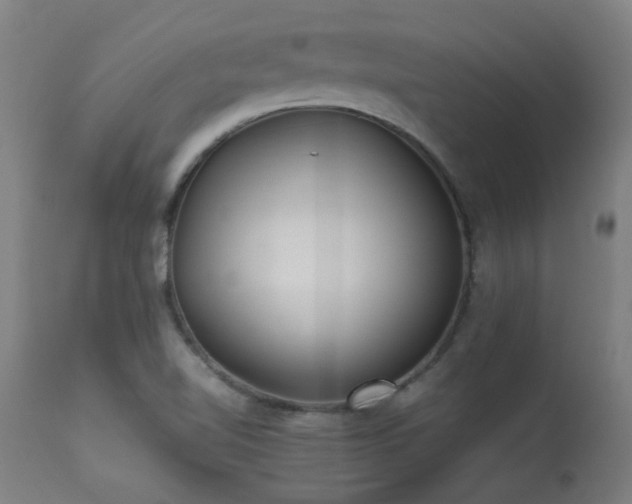 X0000113291510200909211051