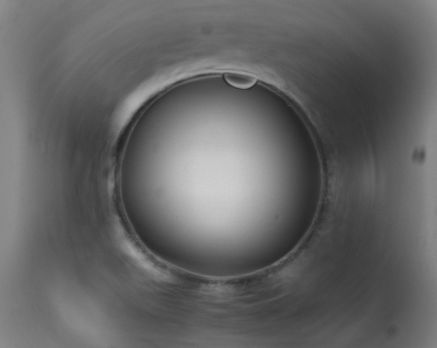 X0000113291511200909211051