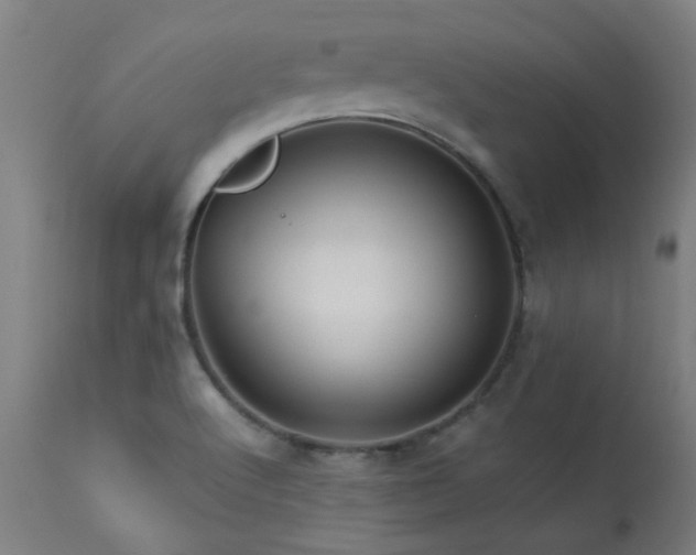 X0000113291512200909211051