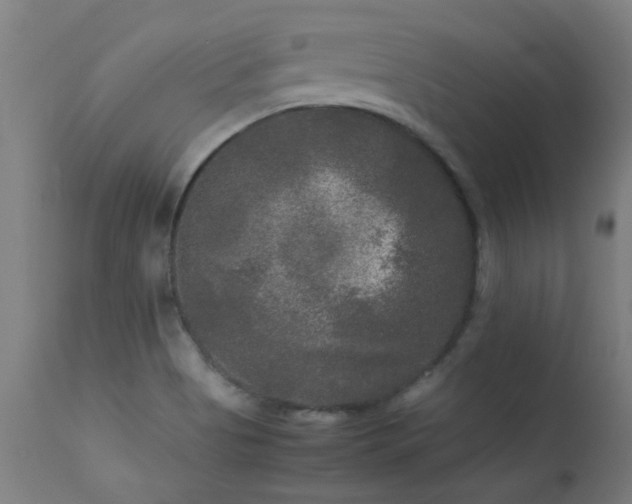 X0000113291513200909211051