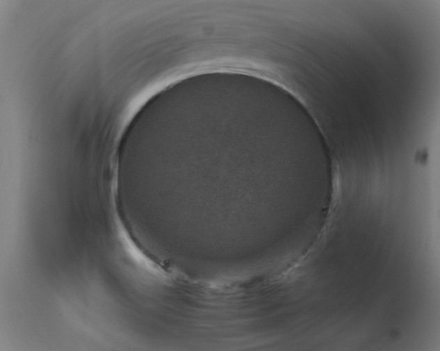 X0000113291515200909211051