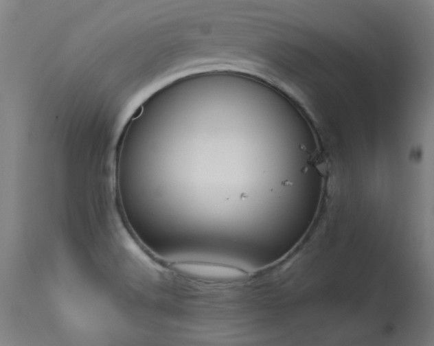 X0000113291516200909211051